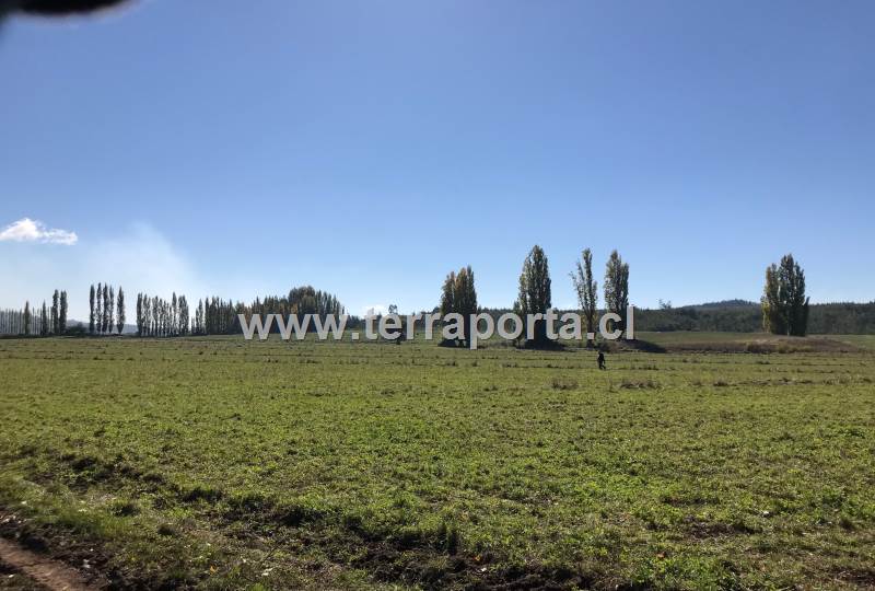 Terrenos  urbanos