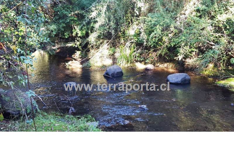 Terrenos  urbanos