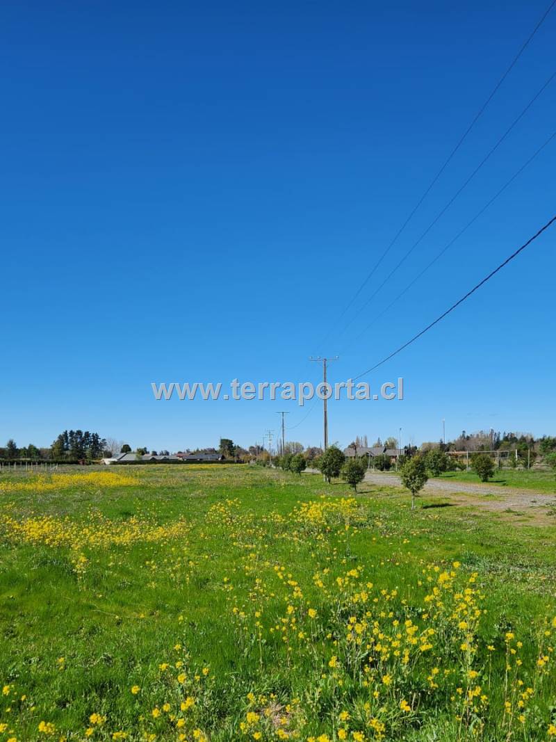 Terrenos  urbanos