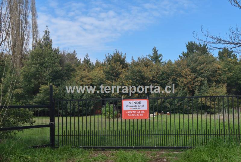 Terrenos  urbanos