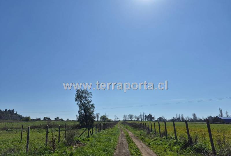 Terrenos  urbanos