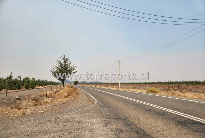 Concepción Venta Parcela Agrado Quilleco Quilleco Loteo 13 Sitios ...